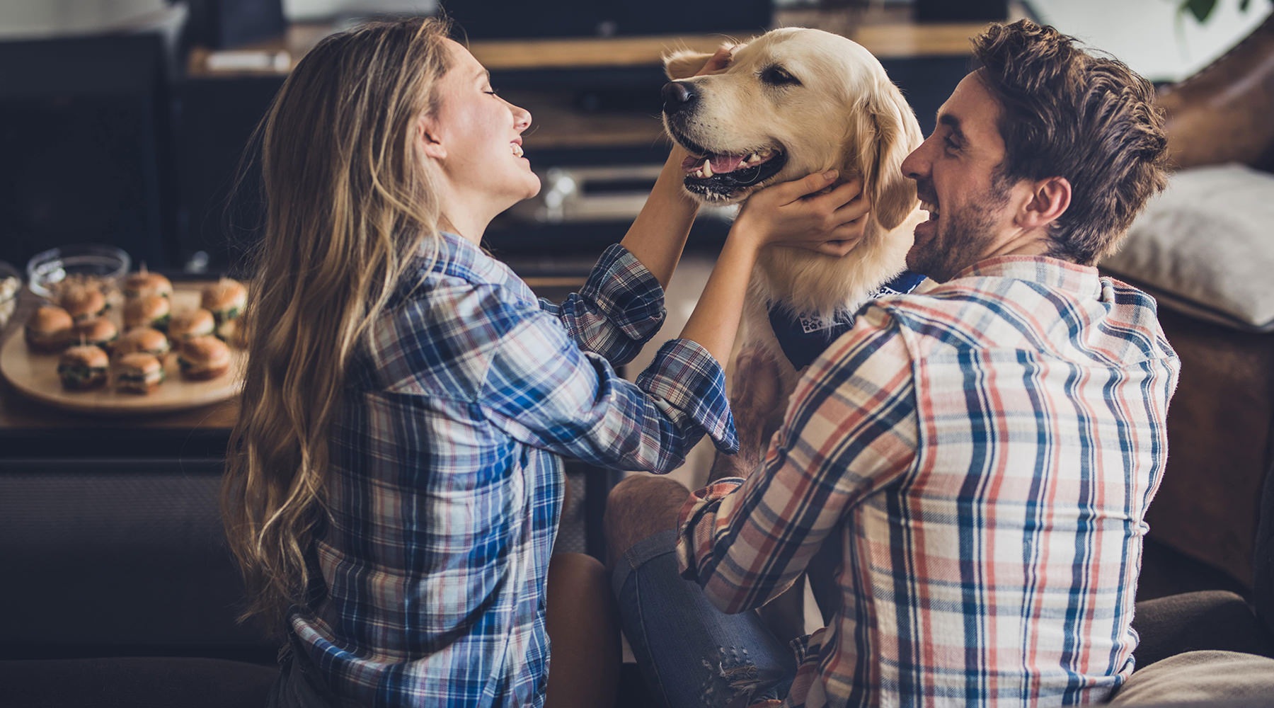 Pet Friendly stock image of couple playing to dog