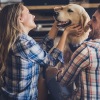 stock image of couple playing to dog